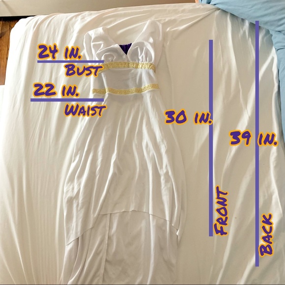 Rubie’s “Gods and Goddesses Roman Maiden” high-low costume white purple - Picture 3 of 4